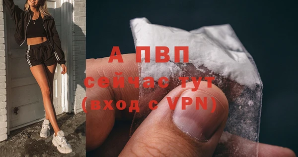 герыч Корсаков