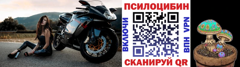 Купить  Бутурлиновка  Псилоцибиновые грибы прущие грибы 